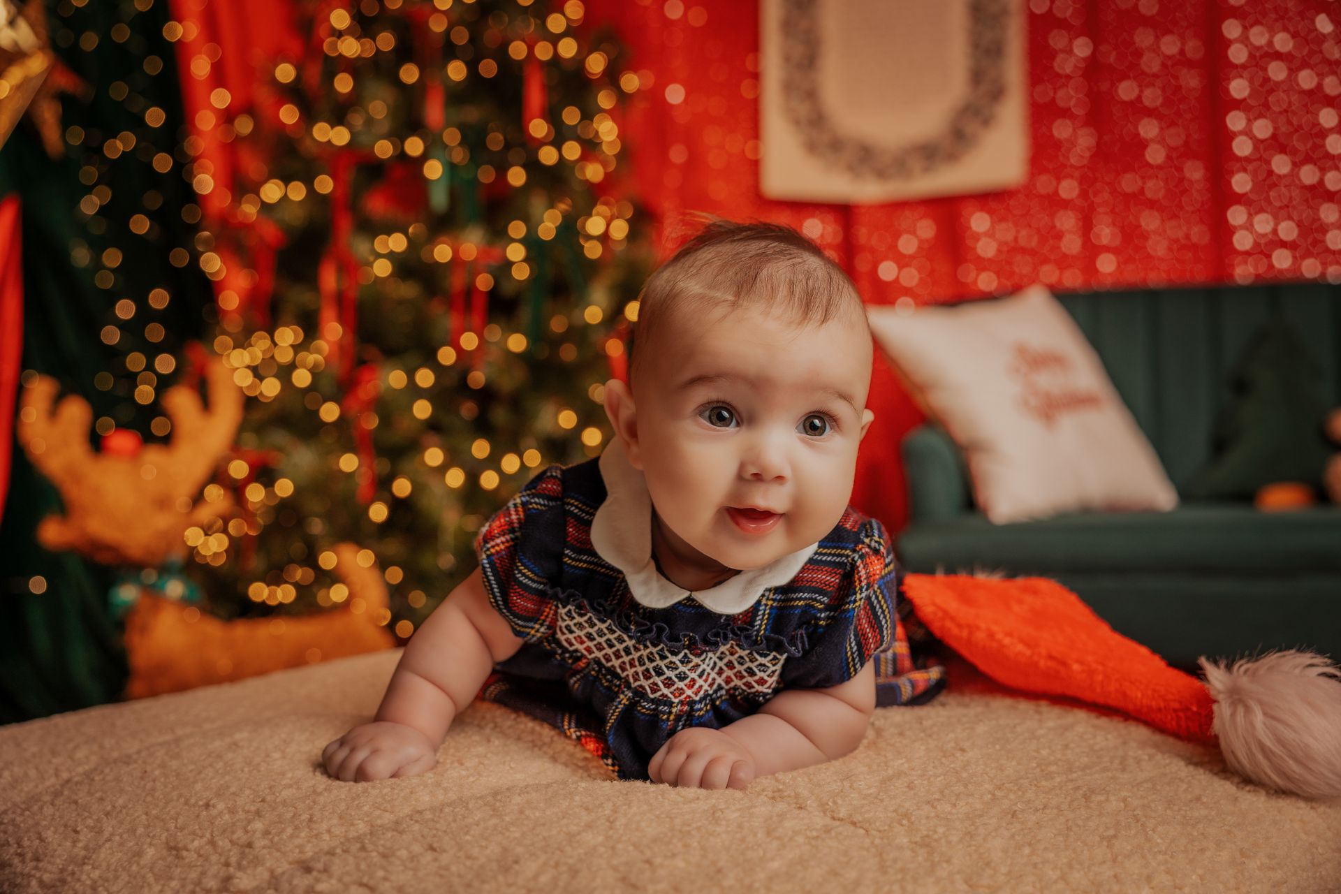 Bebè a pancia in giù su un tappeto beige, in abito blu con il colletto, davanti all'albero di Natale illuminato