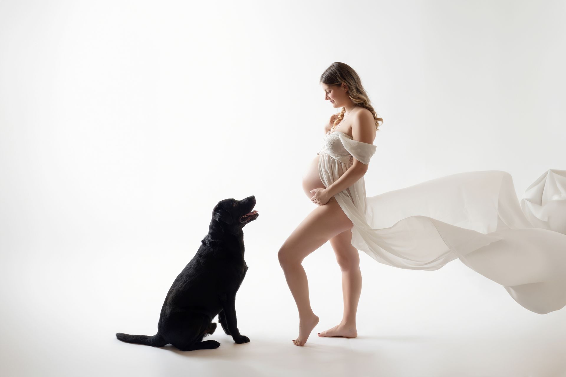 La futura mamma cammina con un velo bianco che si apre al vento, il labrador nero la guarda