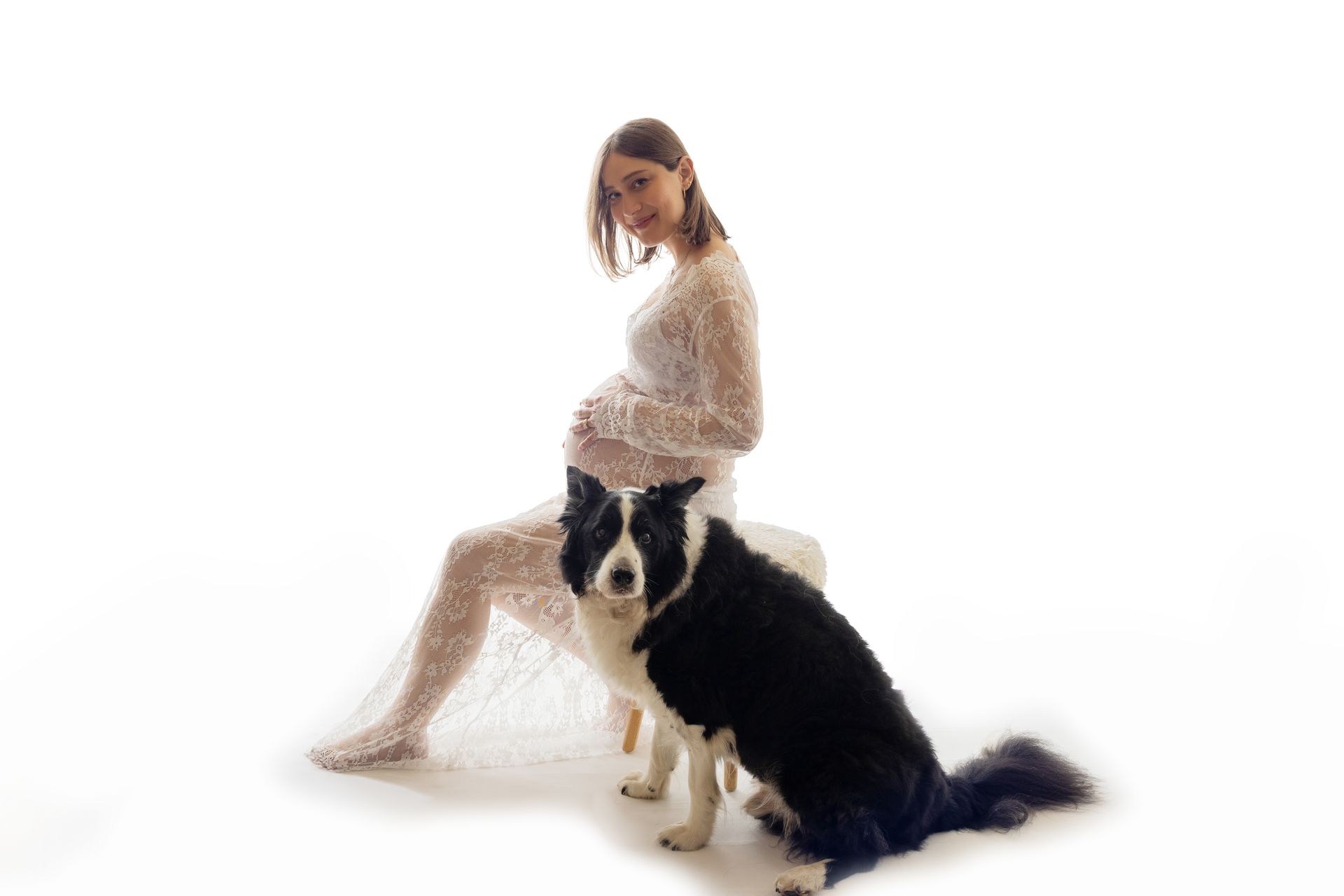 La futura mamma seduta in abito di pizzo bianco con il border collie accanto, su fondo bianco