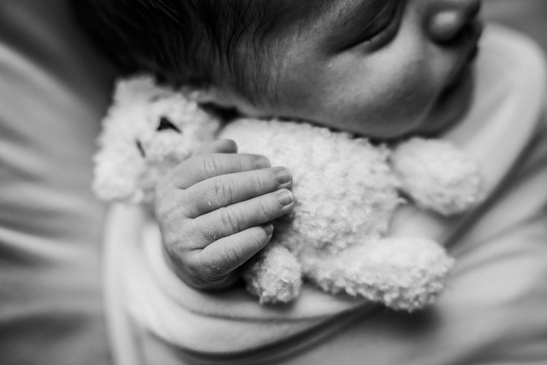 Manina aperta di un neonato appoggiata sul pelo morbido di un orsetto, immagine monocromatica